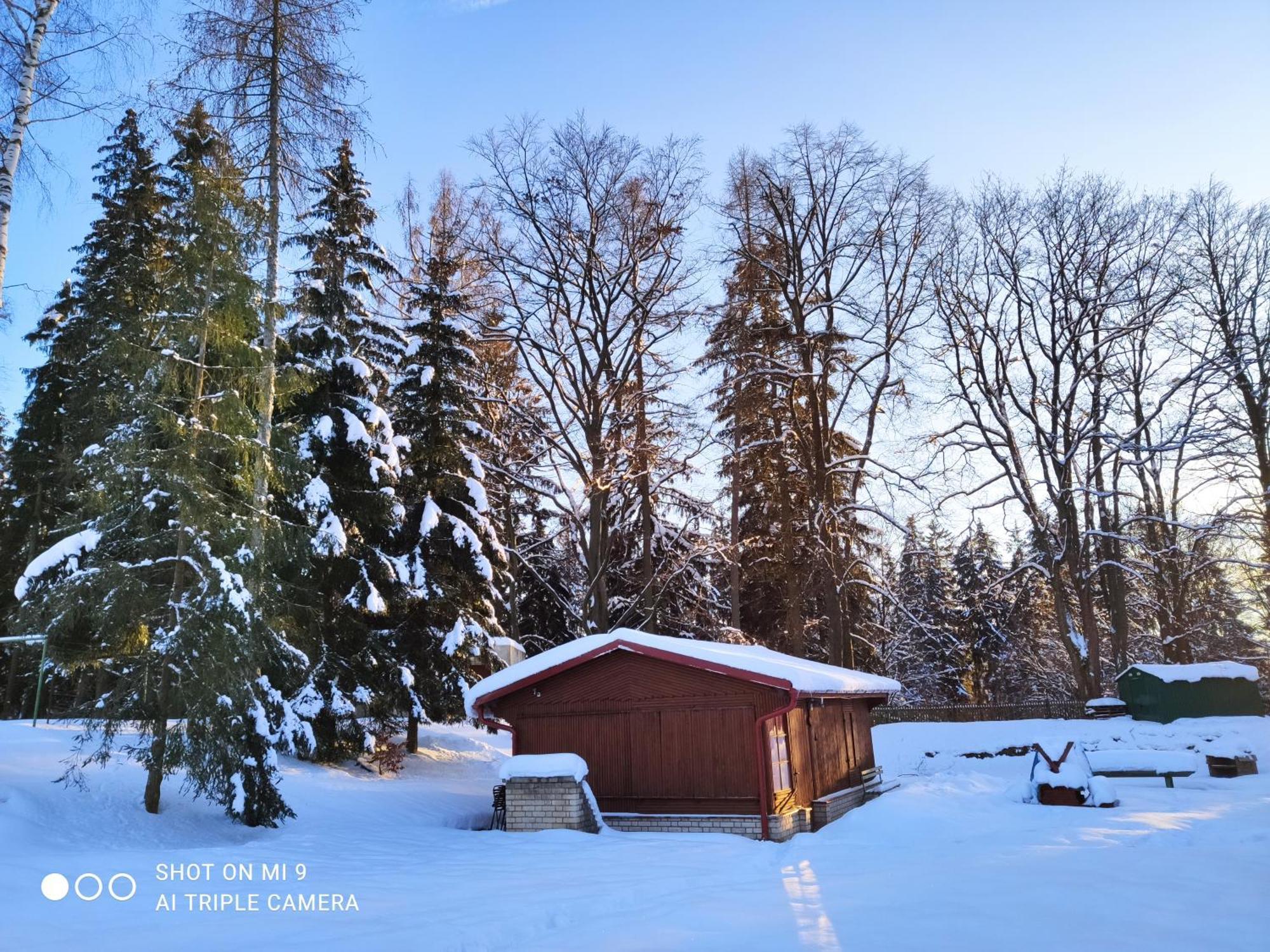 Lesni Chaty "Hogo Fogo" Kytlice Exterior foto