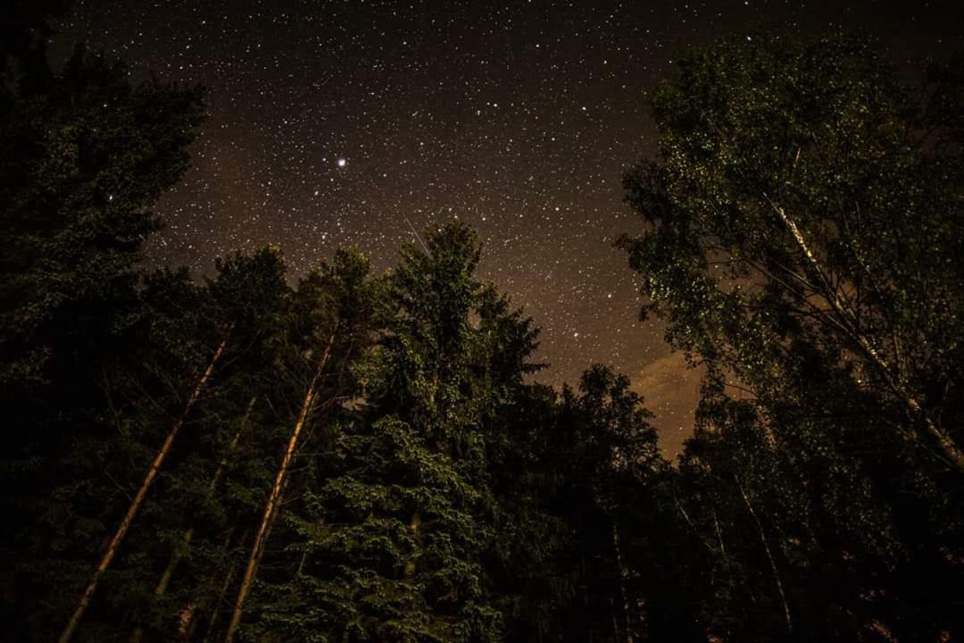 Lesni Chaty "Hogo Fogo" Kytlice Exterior foto